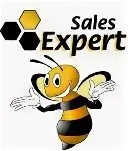 Sales expert