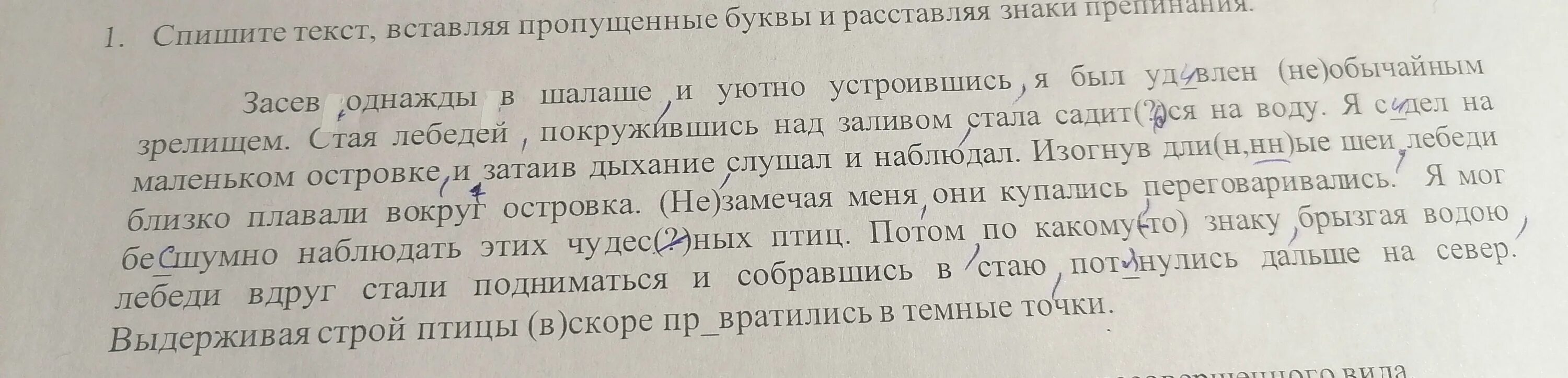 На дальнем поле звонко переговариваясь