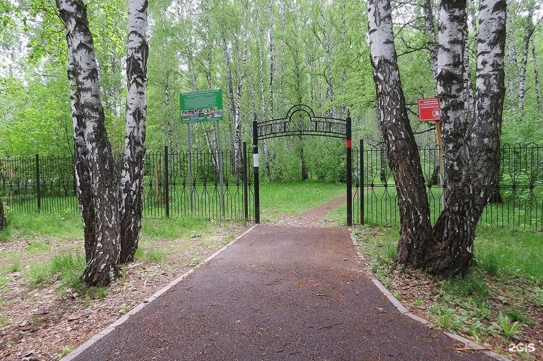 Природный парк тюмень. Парк Гагарина Тюмень. Лесопарк имени Гагарина Тюмень. Парк Юрия Гагарина Тюмень. Лесопарк Гагарина Тюмень.