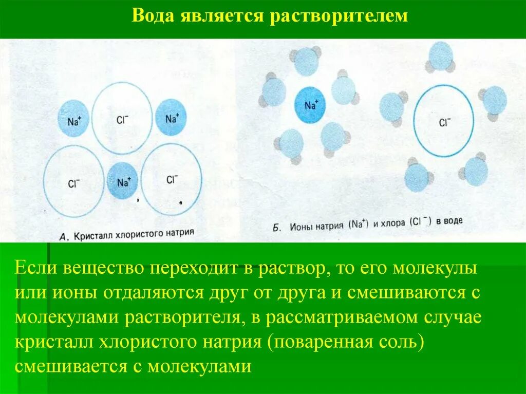 Образует молекулярную воду. Взаимодействие молекул растворенных веществ с молекулами воды. Ионов с молекулами растворителя. Растворитель молекула. Ионы растворителя.