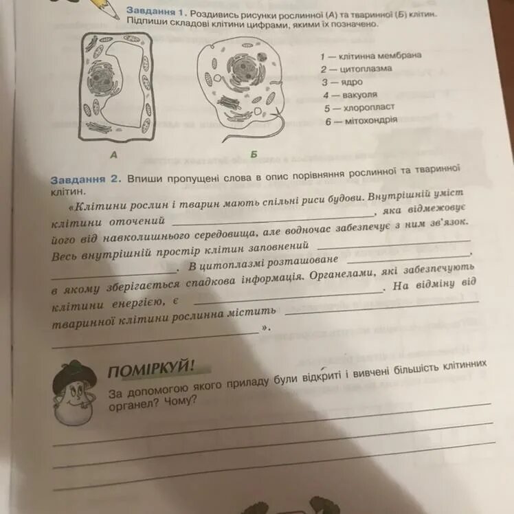 Заполните недостающие слова. Биология шестой класс рассмотри и Подпиши рисунок впиши недостающие. Рассмотри и Подпиши рисунок впиши недостающие. Впиши самостоятельно рассмотри и Подпиши рисунок впиши недостающие.