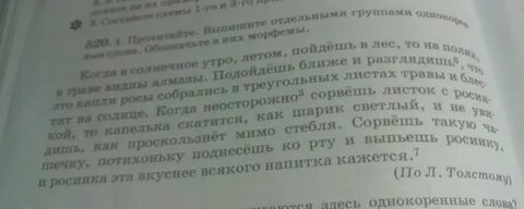 Прочитай текст найди и выпиши однокоренные