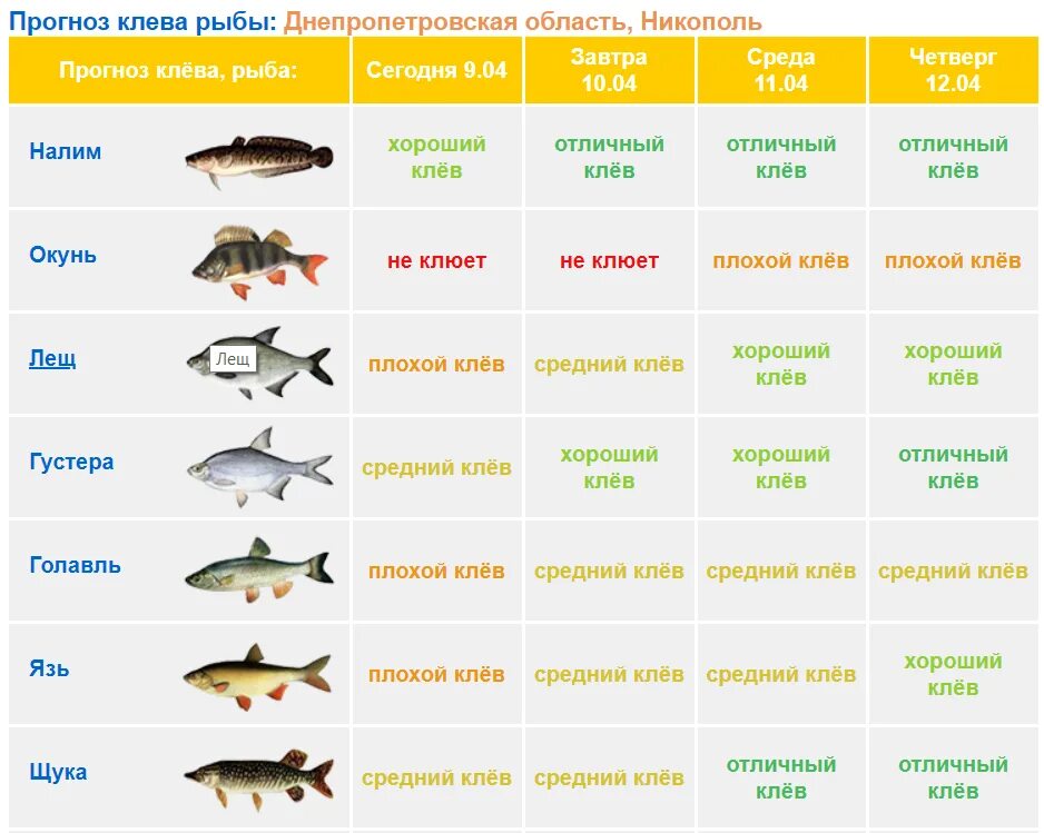 Прогноз клева. Прогноз клёва рыбы. Завтра рыба клюет. Таблица рыболова. Прогноз клева ру