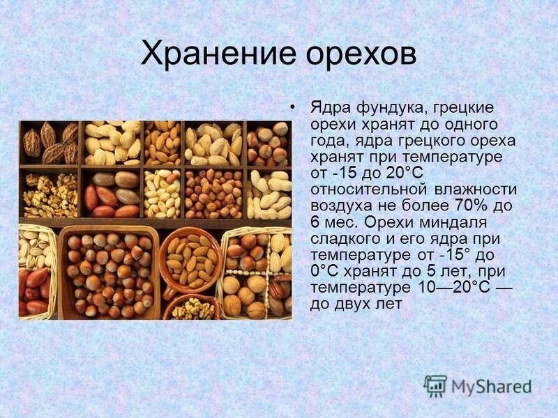 Сколько хранят орехи