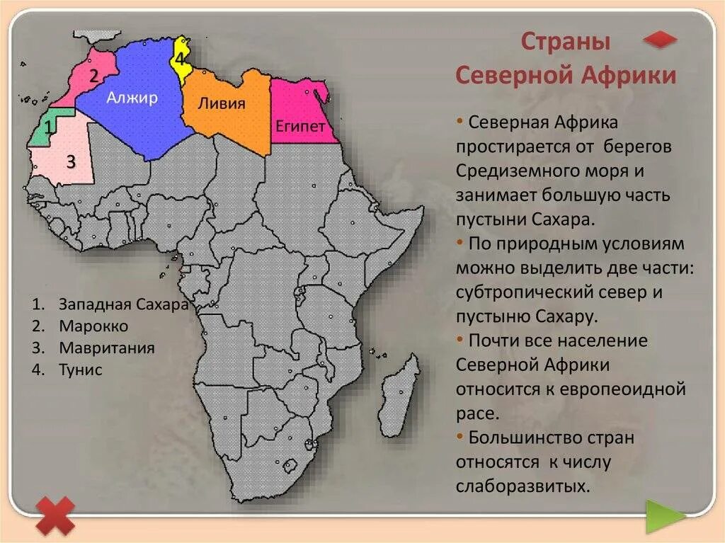 Особенности природно ресурсного капитала алжира и египта. Государства Северной Африки на карте. Страны Африки. Территория Северной Африки. Старн Северной Африки.