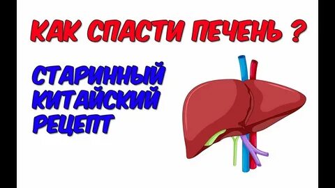 Лечим печень в москве