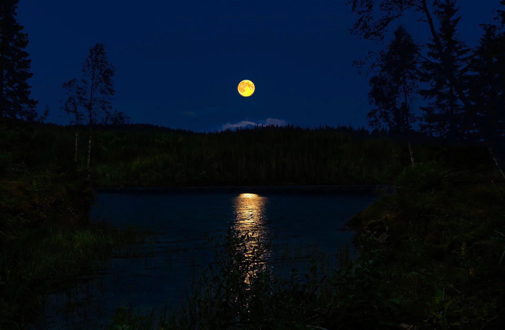 Дерево освещенное луной. Полнолуние Кольский полуостров. Луна над озером. Луна в лесу. Луна река.