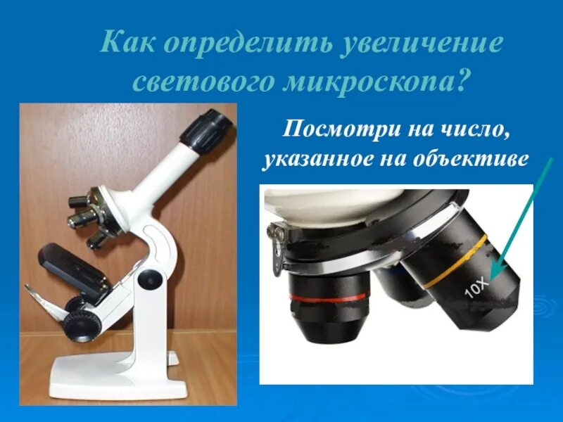 Увеличение микроскопа. Увеличение светового микроскопа. Определение увеличения микроскопа. Увеличение объектива микроскопа. Увеличение микроскопа.