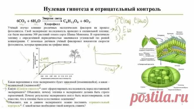 Отрицательная гипотеза