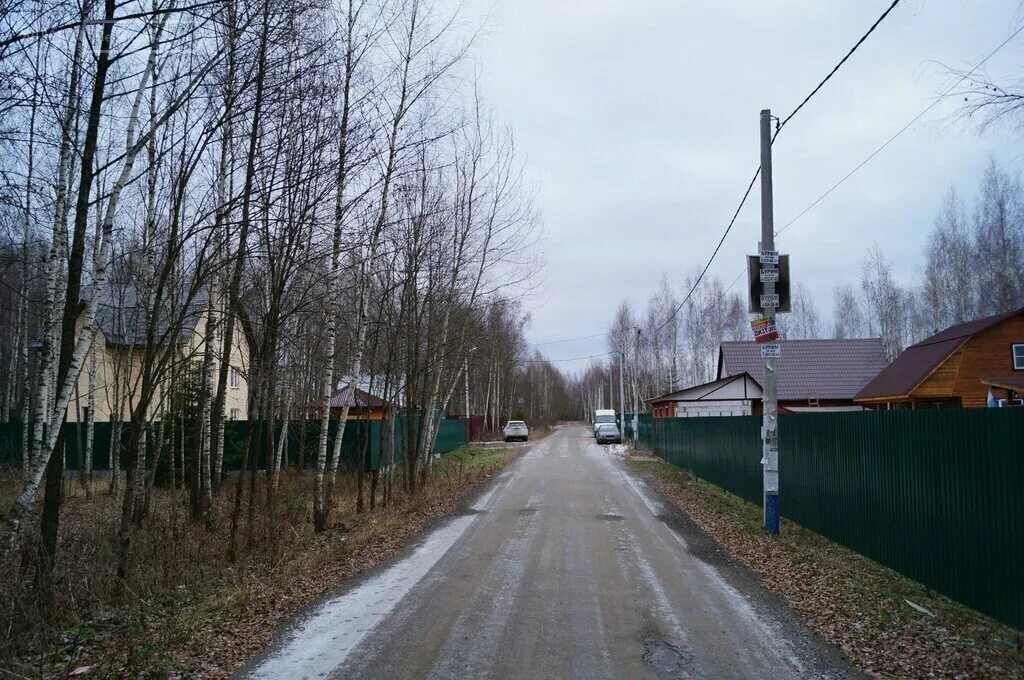 ольховый лес заросли ольхи. деревня ольхи рязанская область шацкий район. усадьба оболенских калужская. церковь д. деревня ольха.