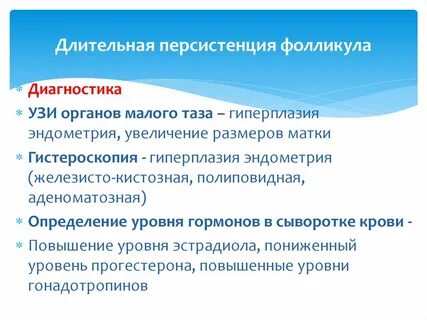 Персистенция это