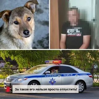 Забыл какого это
