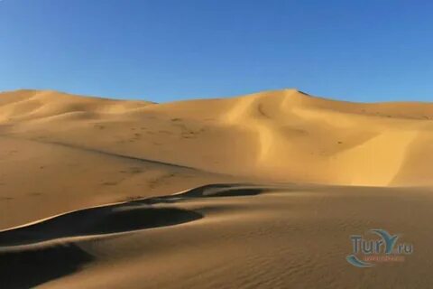 Видео desert