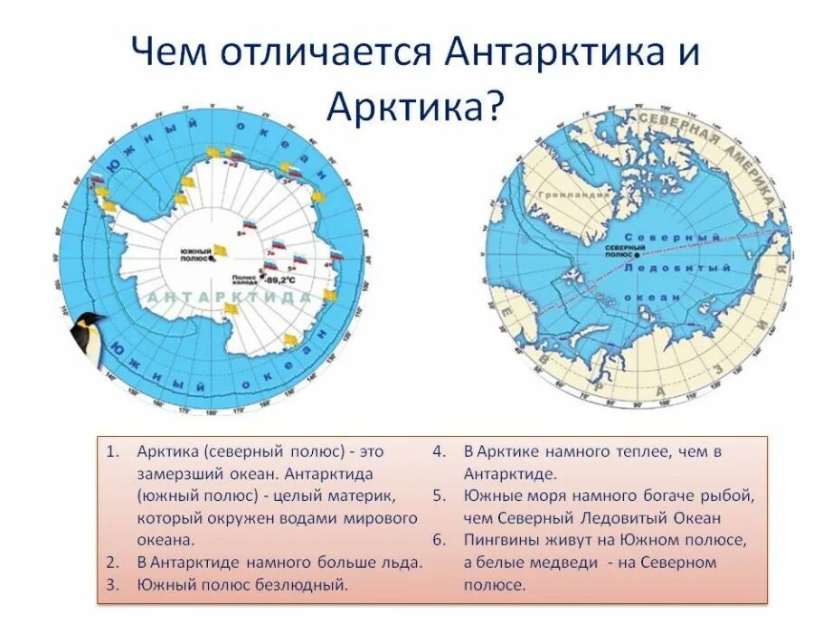 Какое направление в северном полюсе. Арктика и Антарктика на карте. Где Арктика и где Антарктида на карте. Арктика Антарктика Антарктида на карте.