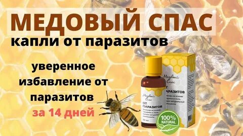 Система спас отзывы