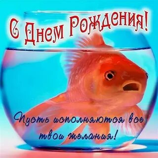 Поздравление с днем рождения мужа сестры прикольные
