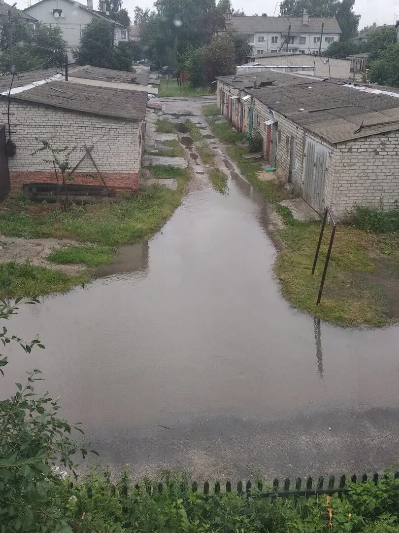 Погода погар на неделю. Авангард погар. Погода погар на неделю. Погар пейзажи. Погода погар на неделю.