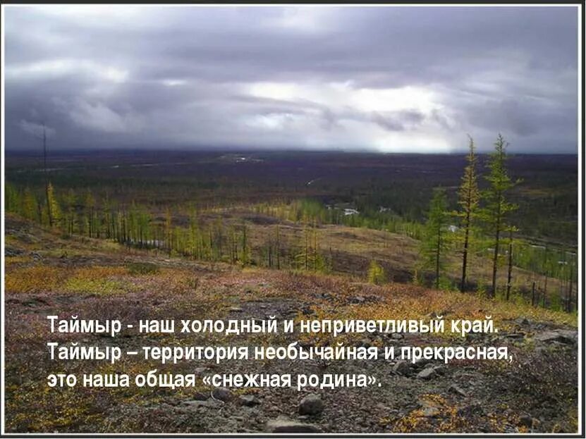 Случилось это весной на таймыре основная мысль. Таймыр. Тундра Западно-сибирской равнины. Тундры на полуострове Таймыр кратко. Особенности Таймыра.