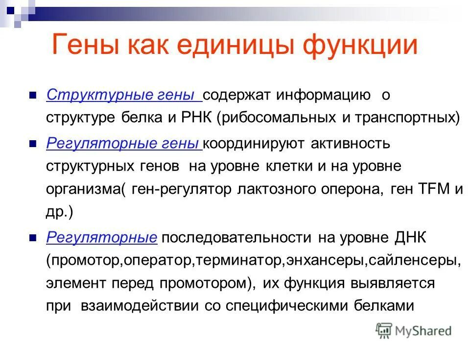 Ген содержит информацию о структуре. Ген содержит информацию о структуре