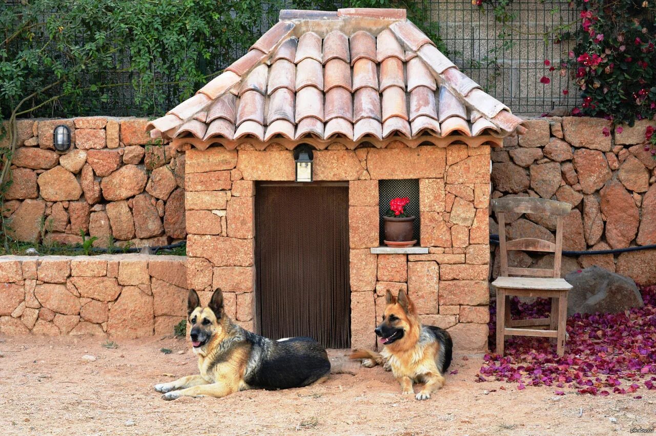 Большие уличные собаки. Конура для овчарки из кирпича. Собачья конура из кирпича. Кирпичный домик для собаки. Дизайнерские будки для собак.