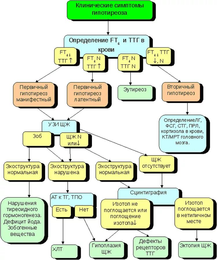 Лечение эутиреоза щитовидной железы у женщин. Первичный и вторичный гипотиреоз таблица. Алгоритм диагностики гипотиреоза схема. Патогенез гипотиреоза схема. Алгоритм диагностики врожденного гипотиреоза.