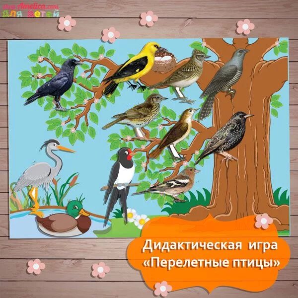 Интерактивная игра птицы. Перелетные птицы для детского сада. Игра перелетные птицы. Перелетные птицы для детей в садик. Птицы весной для дошкольников.