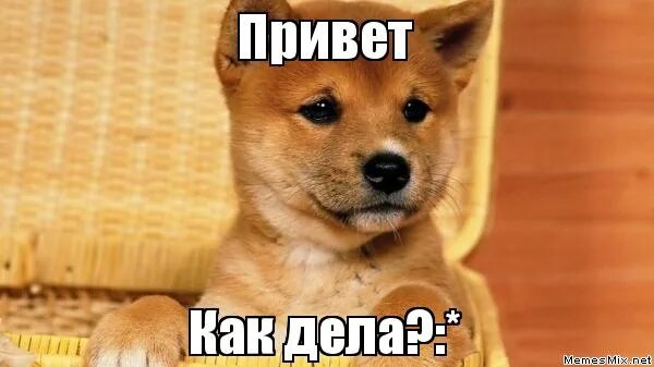 очень отдельный