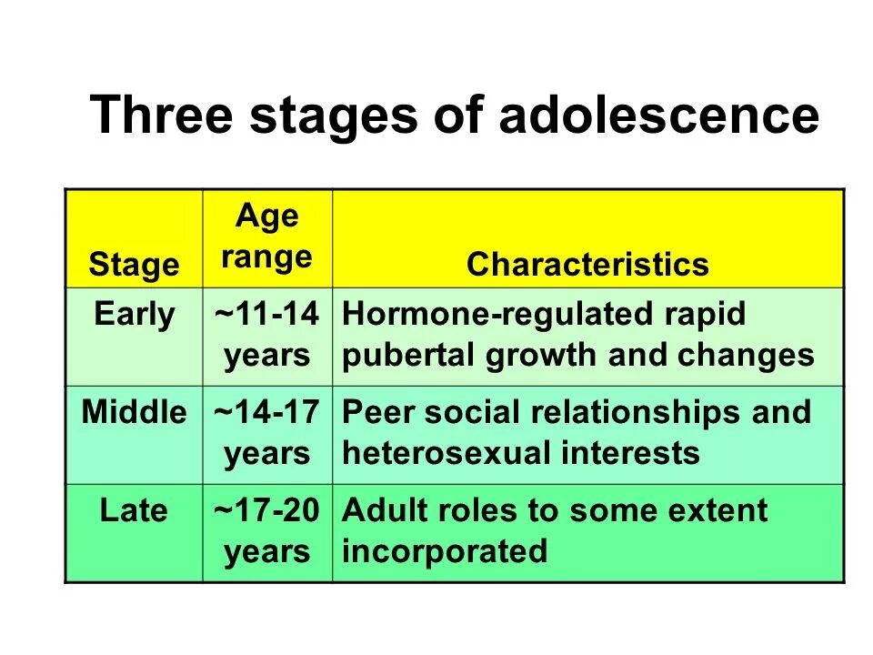 Stages of adolescence. Ages and Stages. Adolescent age range. Age characteristics.