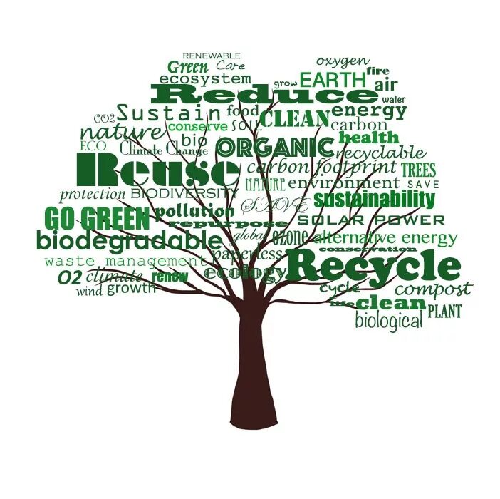 Tree words. Words associated with Word Management. Key Words the topic waste Management.