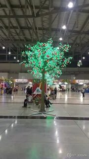 Экспо екатеринбург 2024