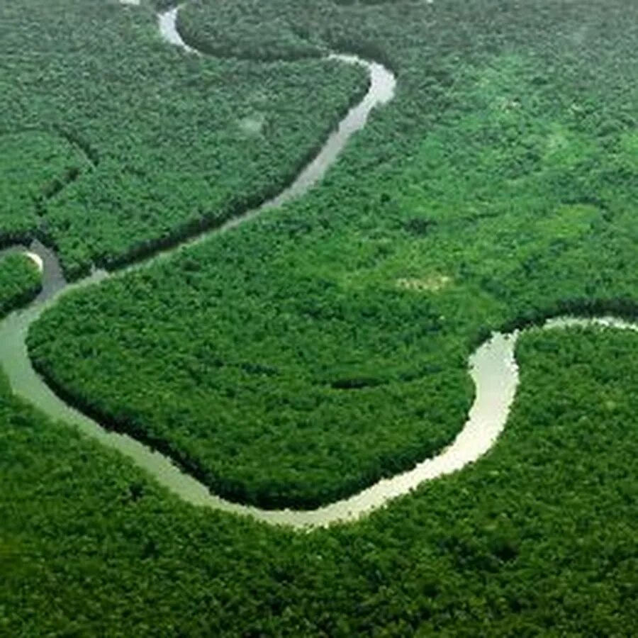 Страна многих вод. Южная Америка река Амазонка. Река Амазонка в Бразилии. Река Укаяли. Северная Америка река Амазонка.