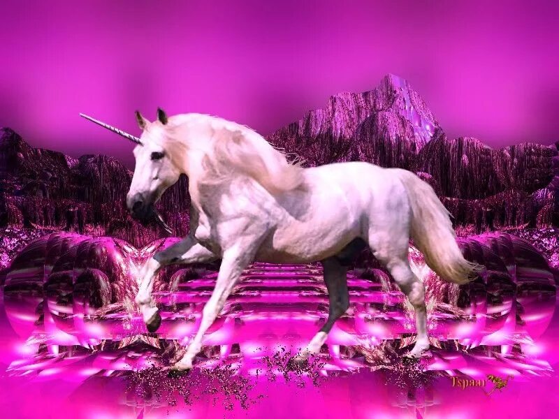 Единорог. Розовый Единорог. Красивые Единороги. Лошадь «Единорог». Единорог с цветами