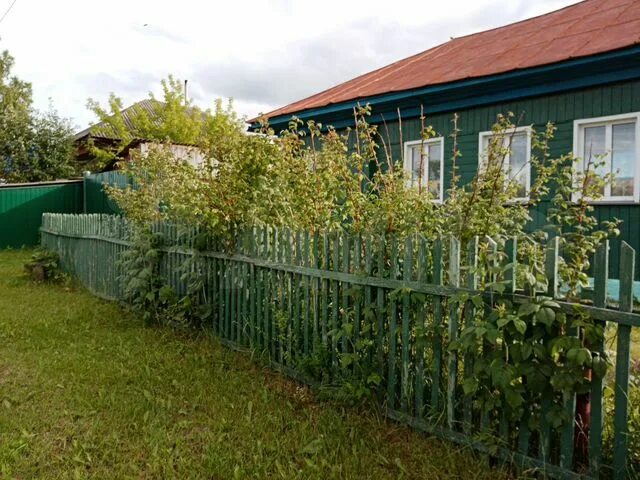 Село светлая поляна. Свежие объявления в болотном новосибирской. Новосибирская область с болотное домами и улицами. Дом болотное новосибирская область. Улица разнопромовская г болотное.