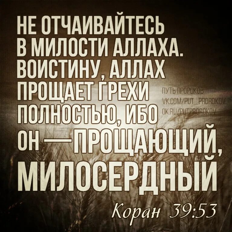 Грехи которые аллах не прощает. Прощает грехи полностью. Милость всевышнего аллаха. Воистину аллах. Прощает грехи полностью.