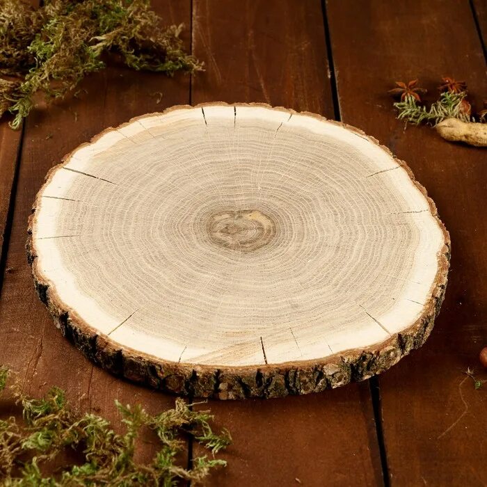 Спил деревянный круглый. Деревянный срез. Спилы дерева для декора. Деревянный срез для декора.