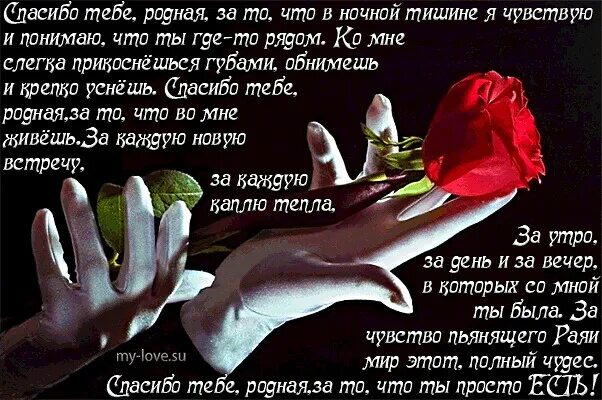 Спасибо за что ты меня любишь. Люблю тебя родная стихи. слова благодарности любимому. спасибо любимый стихи. спасибо родная стих.