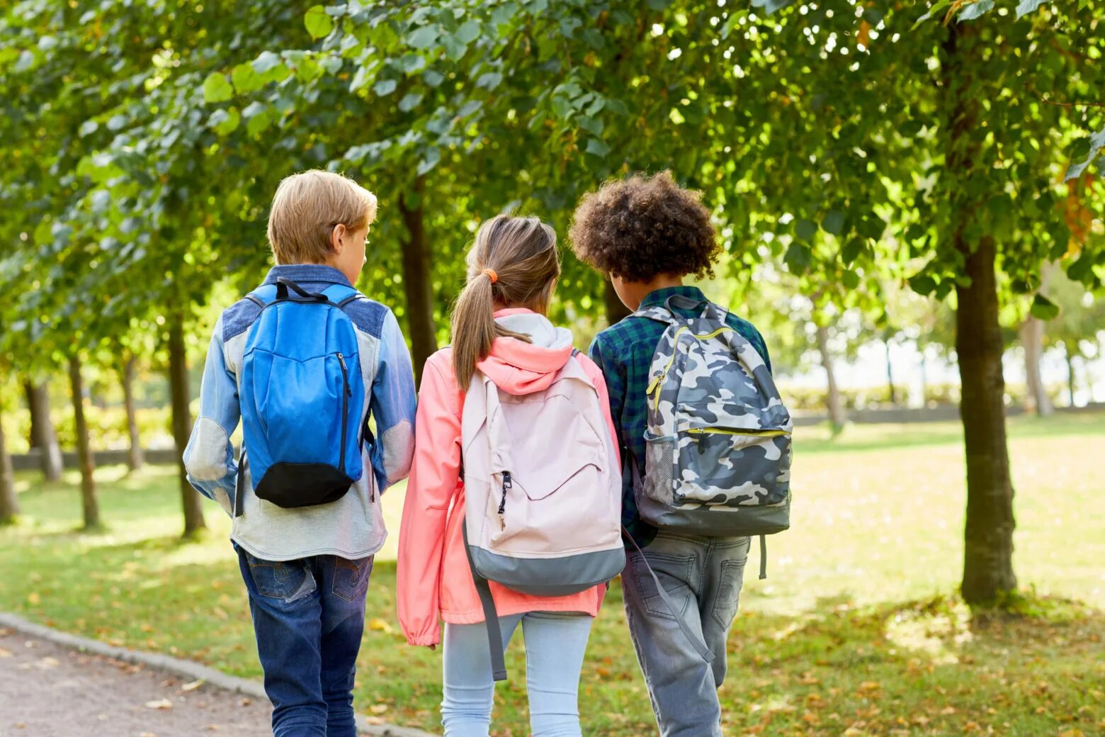Go to school every