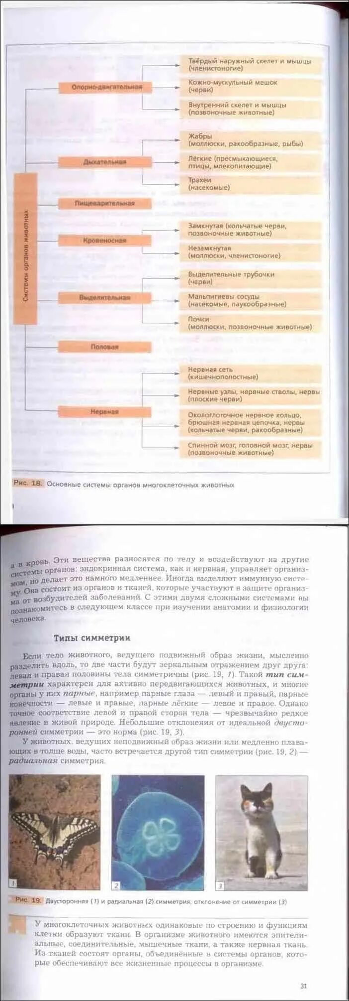 Биология 8 класс константинов читать. Биология. Животные Константинов, Бабенко 7. Учебник по биологии 7 класс Константинов содержание. Учебник по биологии 7 класс Константинов Бабенко. Учебник по биологии 7 класс Константинов.