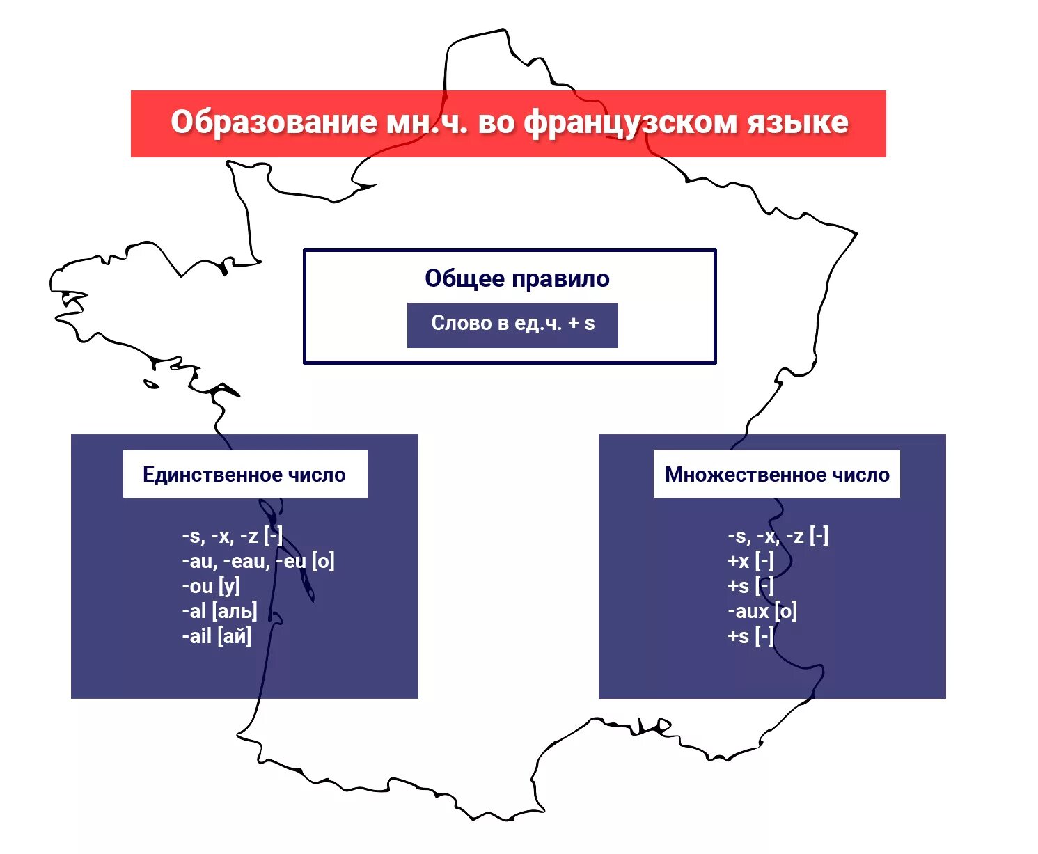 Слово французская какой род