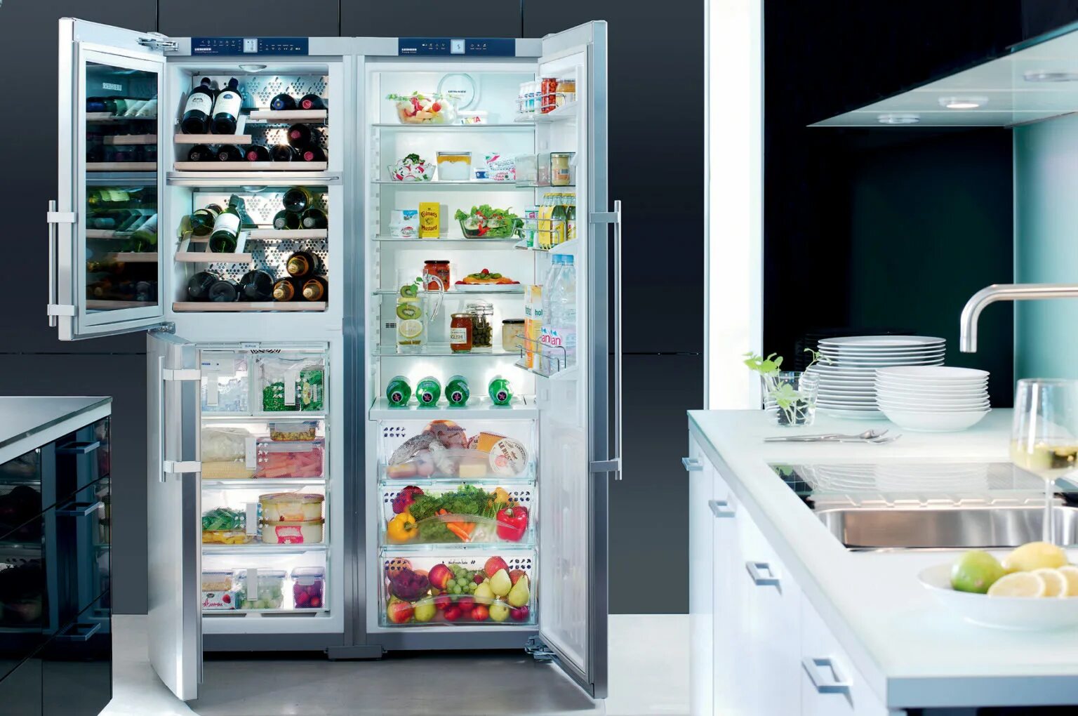 Какой холодильник лучше. Холодильник Liebherr двухкомпрессорный. Liebherr 4828. Самый модный холодильник. Холодильник референс.