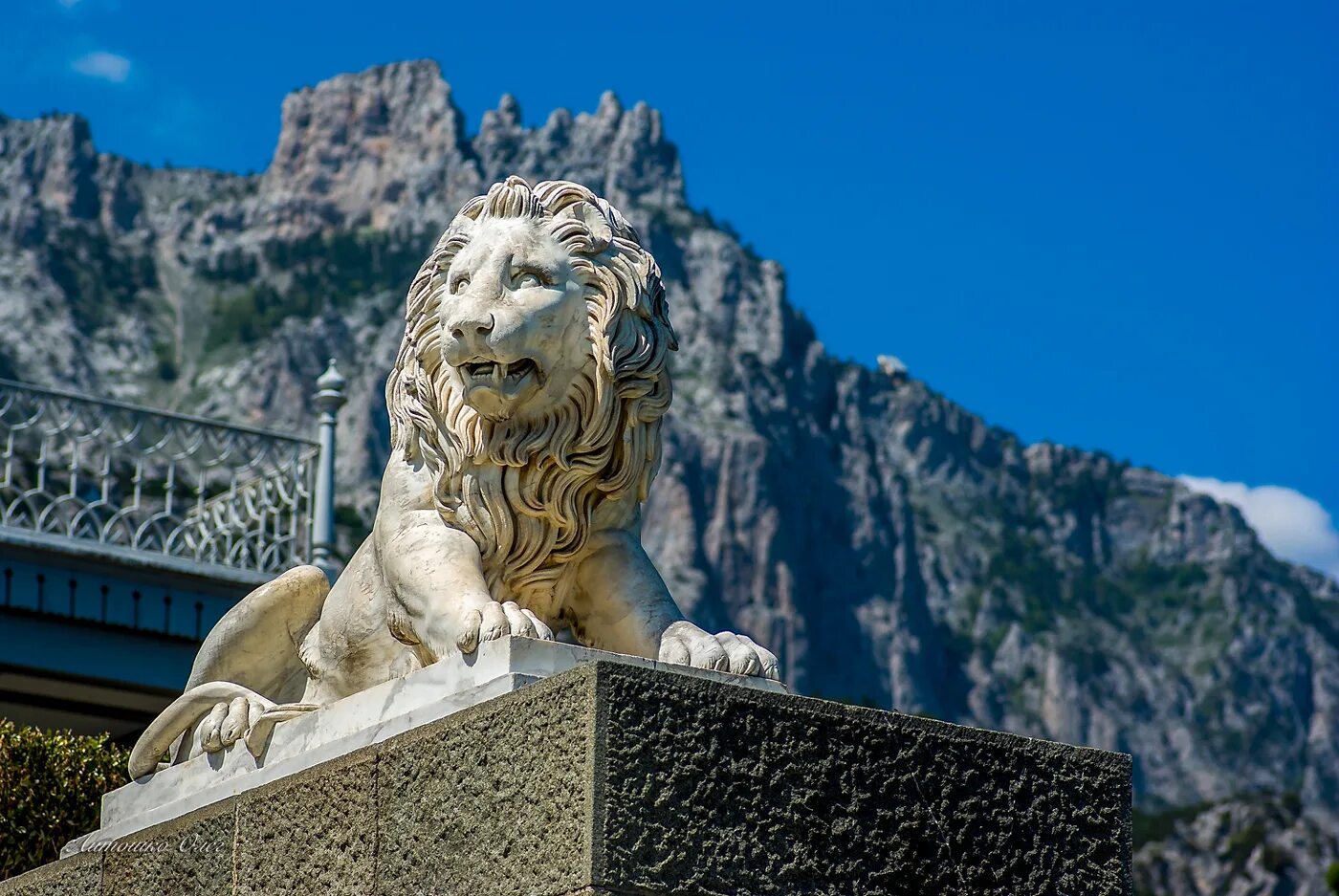 Воронцовский дворец львы. Львиная терраса воронцовского дворца. Лев дворцов. Воронцовский дворец статуи львов. Воронцовский дворец львы.