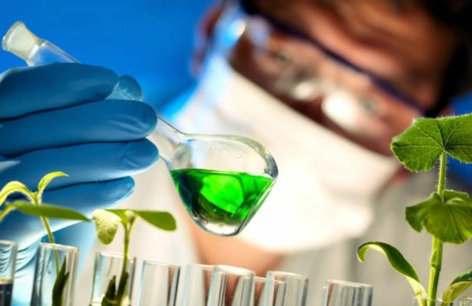 Генная инженерия в биотехнологии. Химические технологии и биотехнологии. Химия и экология. Биотехнологии в медицине. Современные биотехнологии.