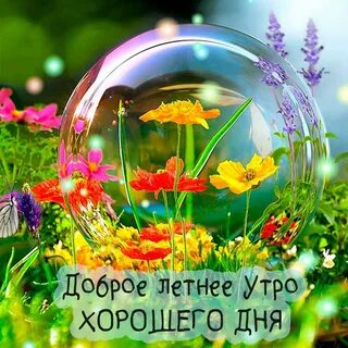 Фото про лето красивые