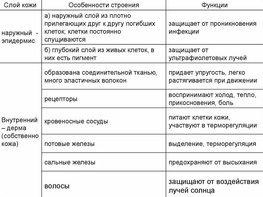 Какие функции выполняет кожа человека обж. Таблица кожа слои кожи особенности строения функции. Таблица слой кожи особенности строения функции. Строение кожи слой строение функции таблица. Слои кожи строение и функции таблица.