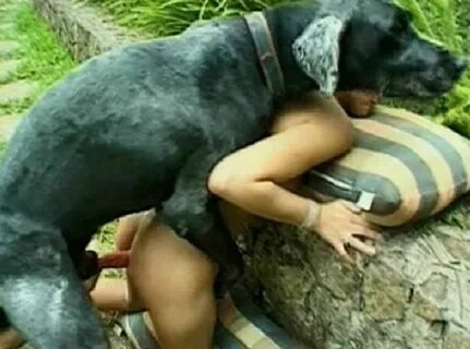 Slideshow sexo raro con animales 