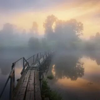 Горький туман