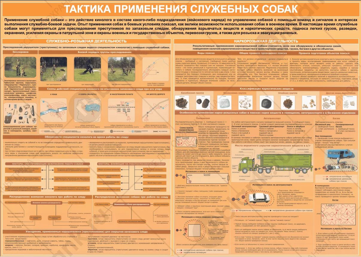 Пример использования служебных животных Акт о выбраковке служебной собаки образец РБ 2024. Белформа бланки документо