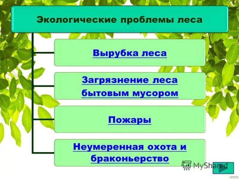 Лес презентация 4 класс плешаков. Экологические проблемы Чувашии. Экологические проблемы лесных зон. Экологические проблемы зоны лесов. Экологические проблемы лесов России.