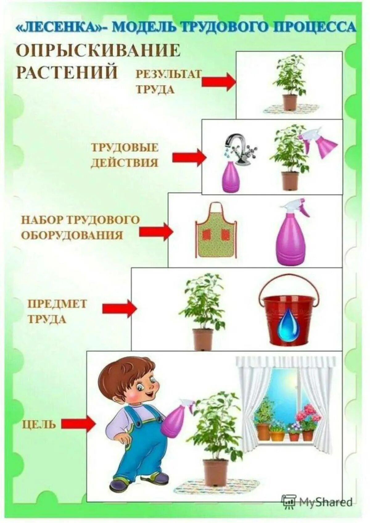 Алгоритм ухода за комнатными растениями в детском саду. Алгоритм полив комнатных растений для детей. Алгоритм ухода за растениями в детском саду. Модель трудового процесса. Уход за растениями в старшей группе