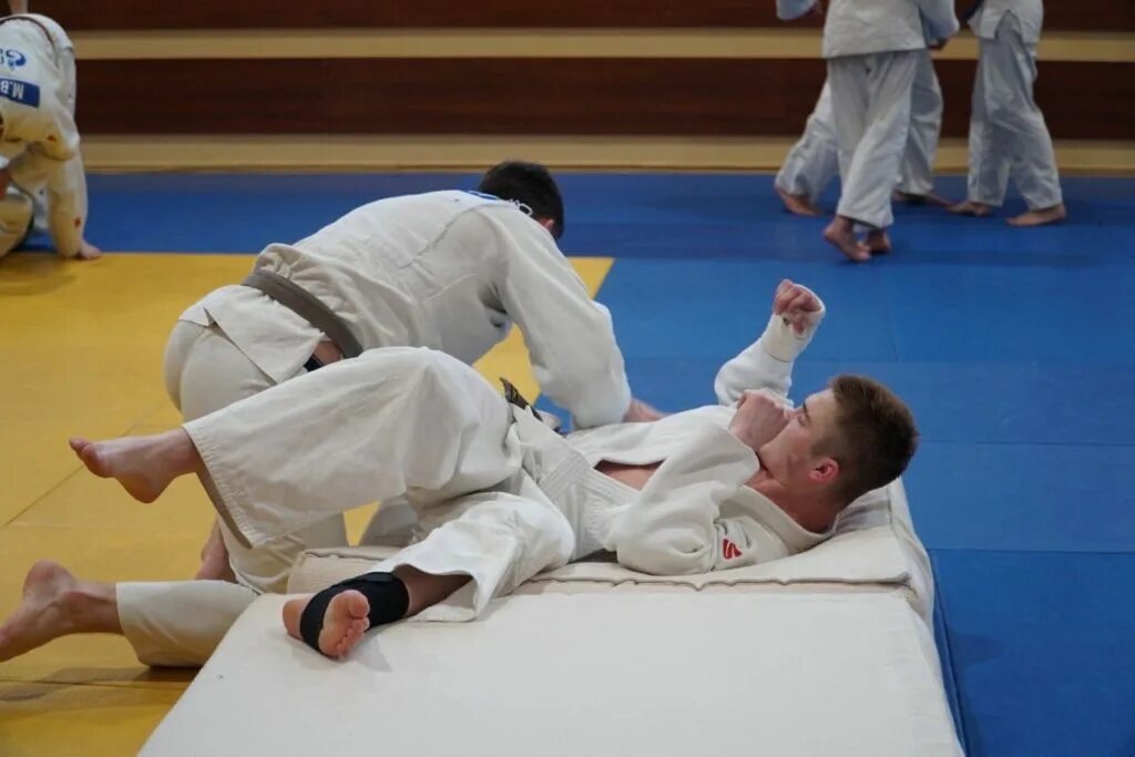 динамо дмитров дзюдо. владимиров вальмир динамо дмитров. шкарин игорь николаевич дмитров. дзюдо дмитров. касаджик илья павлович динамо дмитров.